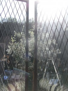 Exif_JPEG_PICTURE